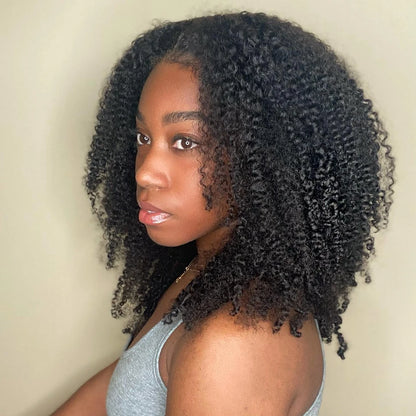 Mongolian Afro Kinky Curly Hair Wigs Human Hair 13x6 Lace Frontal Wigs Curly 4B 4C Kinky Curly Human Hair Wig Natural Hairline