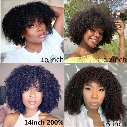 180% Density Afro Kinky Curly Human Hair Wig With Wigs