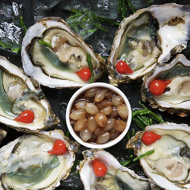 Electric Mini Garlic Masher Blender USB Food Vegetable Processor Chili Chopper Masher Machine Meat Masher Garlic Mixer Foy Home