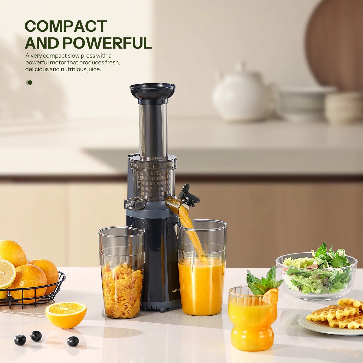 Masticating Juicer Machines, Reemix Cold Press juicer Machine Compact Size, Juice Extractor, Nutrient