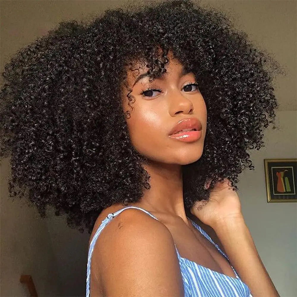 180% Density Afro Kinky Curly Human Hair Wig With Wigs