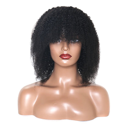 180% Density Afro Kinky Curly Human Hair Wig With Wigs